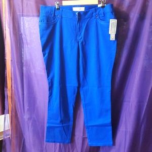 NWT blue jeggings size 18 plus